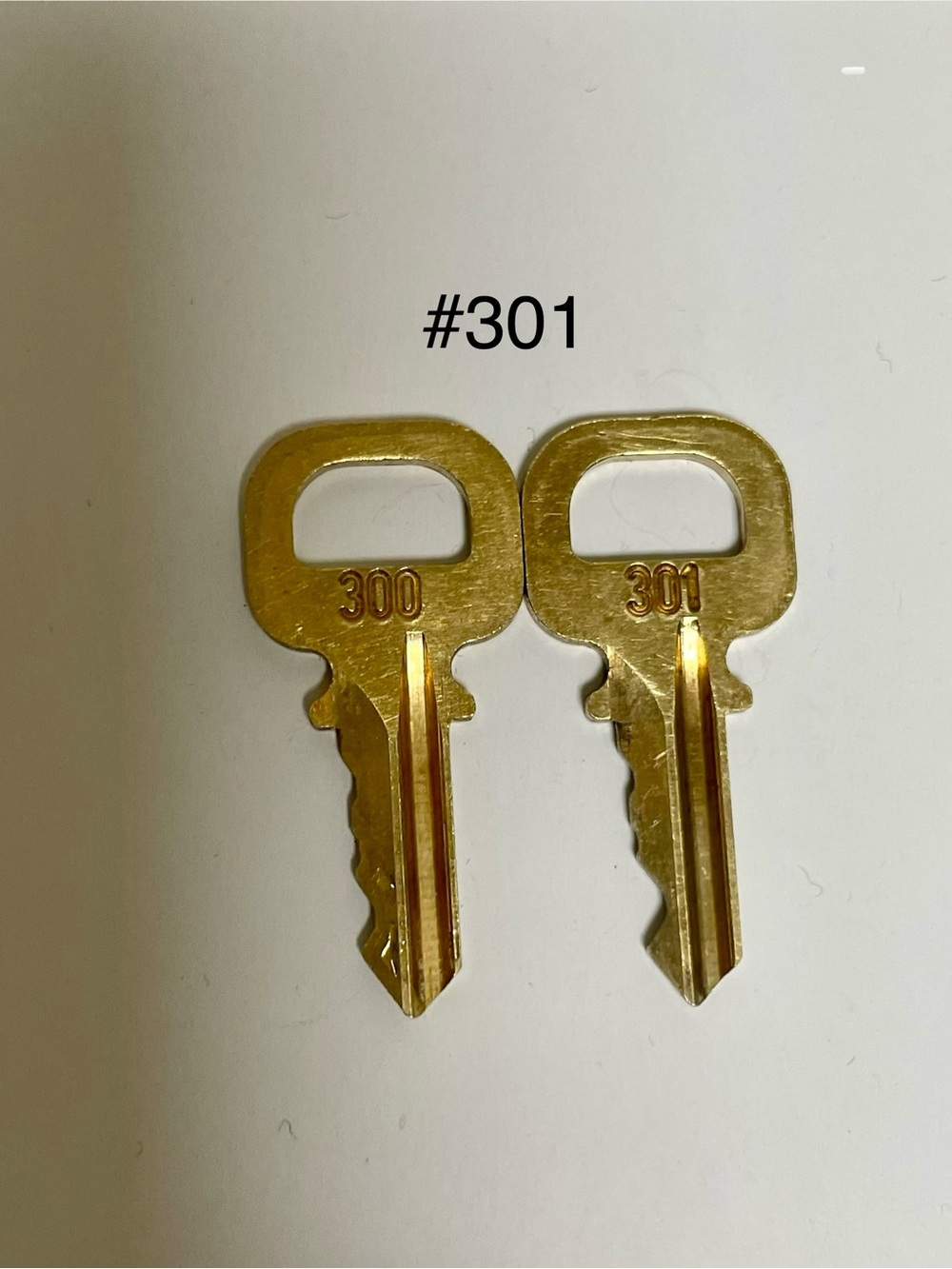 Louis Vuitton #301 Gold Spare Key